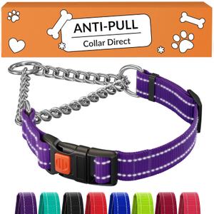 CollarDirect Martingale Dog Collar with Stainless Steel Chain and Quick Release Buckle - Reflective Collar for Large, Medium, Small Dogs - Purple, Large (Neck Size 17"-22")