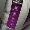 Sealy All Positions Cotton Pillow, King, White