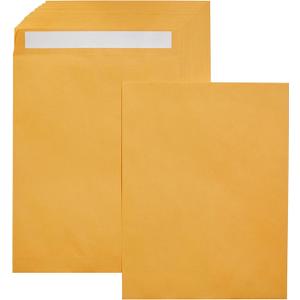 Amazon Basics Catalog Mailing Envelopes, Peel and Seal, 10x13 Inch, Brown Kraft, 100-Pack