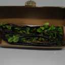 4 Pcs Artificial Ficus Branches Faux Eucalyptus Stems, 47.2 Inch Fake Greenery Stems Artificial Plants for Vase Filler Decoration, Fake Leaves Branches Centerpieces Decor