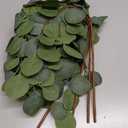 Beferr 6Pcs Artificial Eucalyptus Stems Greenery Stems 24" Tall Fake Plants Decor Faux Floral Stems for Vase Home Party Wedding Decorations