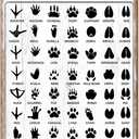 Funny Retro Metal Tin Sign Animal Tracks Field Guide Farmhouse Home RusticWoodland DecorBoy Nursery Decor8x12 In