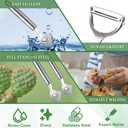 Lothee 4 Pcs Cactus Peeler Tools Set, Peeler Spoon, Stainless Steel Cactus Paring Knife Long Handle with Hole Slicing Noodle Cutter for Kitchen Cooking, Cuchara Multi-function Pelador De Nopales