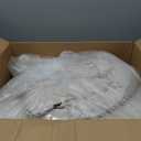 Bedsure Queen Comforter Set, Beige Soft Prewashed Bedding for All Seasons, 3 Pieces GentleSoft Bed Set, 1 Lightweight Comforter (90"x90") and 2 Pillowcases (20"x26")