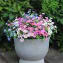 Artificial Flowers for Outdoors Colorful Daisy 20 Bundles Faux Plant Outdoor Spring Summer Decor Realistic Fake Plants Outside for Planters Front Porch Backyard Decor (20 Bundles 4 Colors)