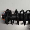 Parod Pair 171299 Rear Suspension Shock Absorber Strut Fit For 1998 - 2002 Honda Accord w/Coil Spring Assembly Rear Left And Right