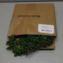 dallisten 6 Pcs Artificial Succulents Hanging Plants, Fake String of Pearls Greenery Plants, Decoration for Wall, Home, Backdrop, Garden, Indoor and Outdoor