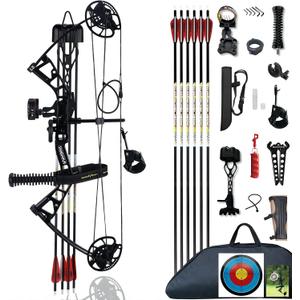 Compound Bow Set 10-40lbs for Pull Child Right Hand Lightweight Design Bow Adjustable 16"~28" Draw Length IBO 290fps New 2024 Professional Set for Youth&Kids