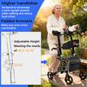 Aliseniors Upright Walker for Seniors, Foldable Rollator with Seat, Gray