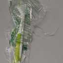 Scrub Brush for Dish Kitchen Sink Pot Pan with Stiff Bristles, Yellow-Green Only 1 Pack