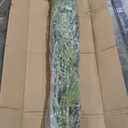 Nearly Natural 6ft Artificial Bamboo Tree for Indoor Home Dcor, Fake Bamboo Floor Plant with Natural Trunks and Over 1,000 Realistic Leaves in Black Nursery Planter