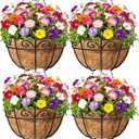 Amagabeli 4 Pack 14 Inch Metal Hanging Baskets Planter Outdoor Round Wire Hanging Basket for Plants with Coco Fiber Liners Chain Plant Holder for Garden Patio Deck Porch Plants Vegetables Flower Pots