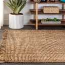 JONATHAN Y Handwoven Jute Fringe Natural Indoor Area Rug, 6x9, Pata, Bohemian, Rustic, Cottage, Easy-Cleaning for Living Room, Bedroom, Kitchen, Non-Shedding (NRF103A-6)