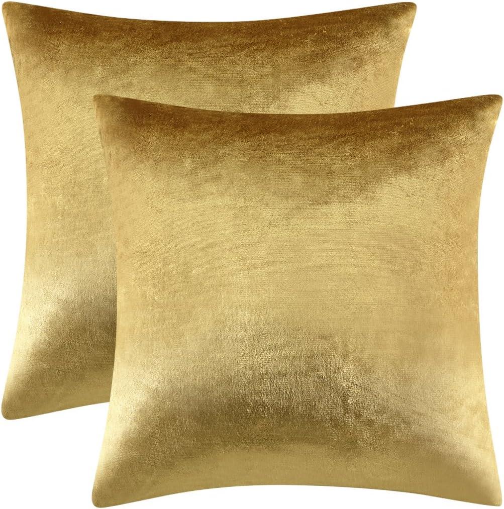 GIGIZAZA Gold Velvet Decorative 20x20 Throw Pillow Covers for Sofa Bed 2 Pack Soft Cushion Cover (20" x 20" (Pack of 2))