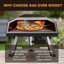 12 inch Gas Pizza Oven Outdoor Propane, Portable Pizza Oven with Stone, Stainless Steel Pizza Oven Indoor & Outdoor for Camping Backyard Party, Ignition Built-in, 12 min Fast Heating