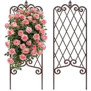 AMAGABELI GARDEN & HOME 2 Pack 60 x 18 Garden Trellis for Climbing Plants Outdoor Garden Fencing Decorative Plant Trellis Vegetables and Rose Trellis for Ivy Cucumbers Brown