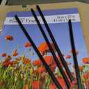 MCS Original Poster Frame 16x20 Black Lightweight Vertical & Horizontal Wall Hanging Large Picture Frame for Posters, Art Prints & Gallery Wall (2-Pack)