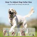 Dog Collar with Quick Release Buckle for Small Medium Large Dog (S(12-17" Neck, 2.25mm))