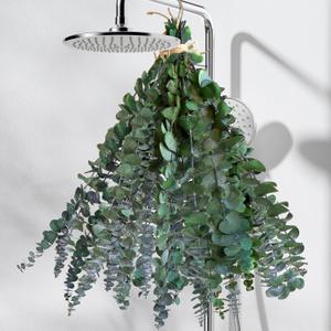 20Pcs Dried Eucalyptus for Shower Hanging-17''Preserved Real Fresh Eucalyptus Stems for Green Home Decor,100%Made from Fresh Eucalyptu Leaves Plant,Bathroom Shower Decor,Wedding Decor