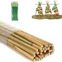 4 Ft Bamboo Stakes with 100 Twist Ties Natural Bamboo Garden Stakes for Tomatoes Cucumber Grapes Pole Beans Trees Potted Dahlia Flowers and Climbing Plants - Pack of 25