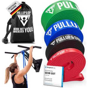 Pullup & DIP Fitness Bands, Resistance Bands with Bag, Door Anchor (with Sets) and Exercise Guide - Single & in Value Set, Pull-Up Band Fitness Band for Calisthenics (LIGHT (Black, 15-53 lbs))