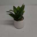 Hollyone Artificial Agave Plants Fake Succulent Agave Plant Potted in White Pot Succulents Aloe Plant for Desk Modern Office Living Room Table Shelf Home Indoor Outdoor Decor