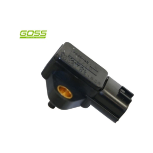Map Sensor