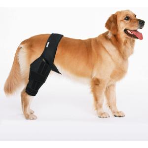Dog Knee Brace for Torn ACL & Hind Leg Support – Adjustable Dog Hip & Leg Brace for Cruciate Ligament, Arthritis Relief, Joint Stability & Injury Recovery, Color: Black, Size: M