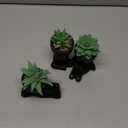 Der Rose 3pcs Fake Succulents Plants Artificial for Black Bathroom Bedroom Home Living Room Halloween Decor Aesthetic Indoor