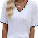 Short Sleeve Sweater for Women V Neck Lightweight Sweaters Tops Fashion Clothing Business Casual Outfits (M)