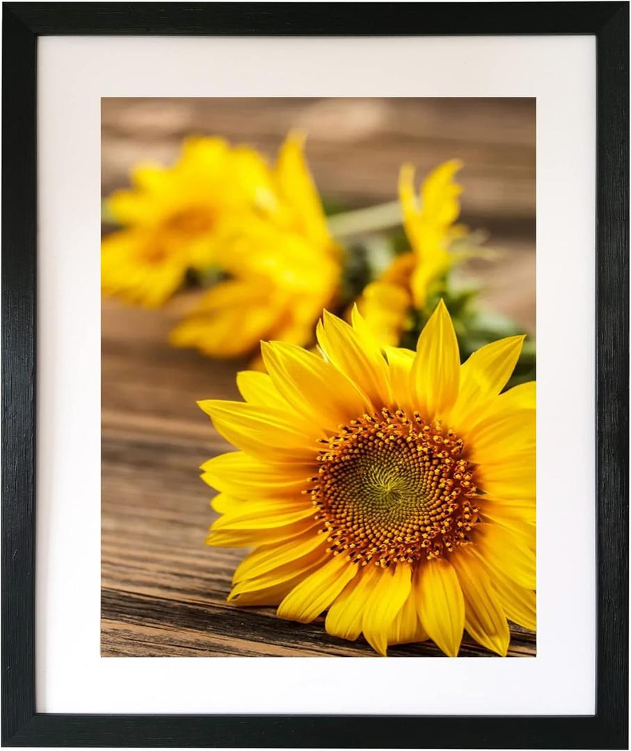 16x20 Wall Picture frame, White Gallery Photo Frame for Horizontal or Vertical Display