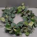20" Preserved Eucalyptus Wreath for Front Door Large Wreaths Natural Eucalyptus Real Touch Everlasting Summer/Spring/Fall Wreath Fresh Green Environmentally Friendly Decor for Home