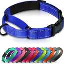 Martingale Collar for Dogs with Quick Release Buckle, Reflective Soft Padded & Escape Proof, Adjustable Nylon Dog Collars for Training & Daily Walking (Royal Blue,L) (L:width 1"neck 18.5-24")