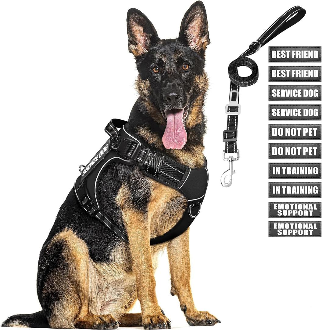 MOOGROU Tactical Dog Harness and Leash Set for Large Dogs,Heavy Duty No Pull Service Dog Vest and 10 Patches with Dog Seat Belt,Reflective Adjustable Pet Harness for Training Walking Hiking Black XL