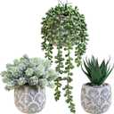 Winlyn Set of 3 Artificial Potted Succulent Plants Faux Aloe Hops String of Pearls in Rustic Concrete Planter Small Fake Desk Plants for Farmhouse Desk Kitchen Bathroom Shelf Windowsill Greenery Decor
