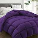 HYLEORY All Season Queen Size Bed Comforter - Cooling Goose Down Alternative Quilted Duvet Insert with Corner Tabs - Winter Warm - Machine Washable - Purple