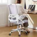 Ergonomic Office Chair, Desk Chair with Adjustable Lumbar Support, Breathable Mesh Comfy Computer Chairs with Flip-up Armrests Executive Task Chair for Adults Home Office(Lavender), Standard