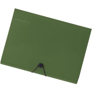 Lihit Lab A7589-22 Carrying Document Smart Fit A4 6 Pocket Olive