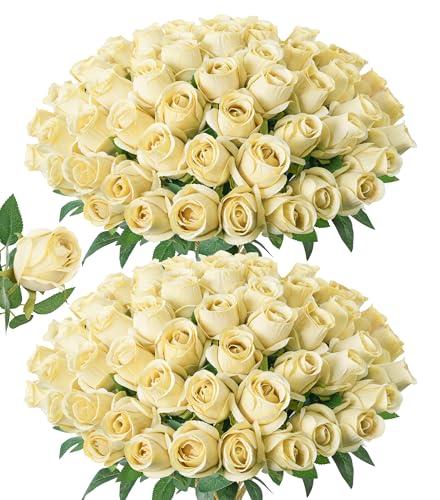 DREAMLOOM 50pcs Roses Artificial Flowers, Fake Roses Realistic with Long Stems Real Touch Silk Flowers Bouquet for Valentine's Day Wedding Anniversary DIY Floral Arrangement Gifts, Brunt Yellow