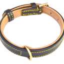 Luxury Real Leather Padded Dog Collar, Tan and Teal, Size Small, 16" Long x 5/8" Wide, Neck Size 11" to 13.5" Inches