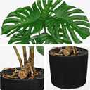 DILATATA Fake Plants Artificial Monstera Plant 18" Faux Potted Monstera Plant Indoor Tropical Palm Fronds with Black Pot for Indoor Home Decor Office Living Room Porch Decor (Green)