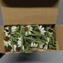 Daifunli 6 Bundles Artificial Silk Daisy Flower 17.7 Inch White Fake Daisies Decoration Faux Wildflowers Greenery Plant Stem Filler for Wedding Table Centerpiece Home Garden Porch Patio Decoration