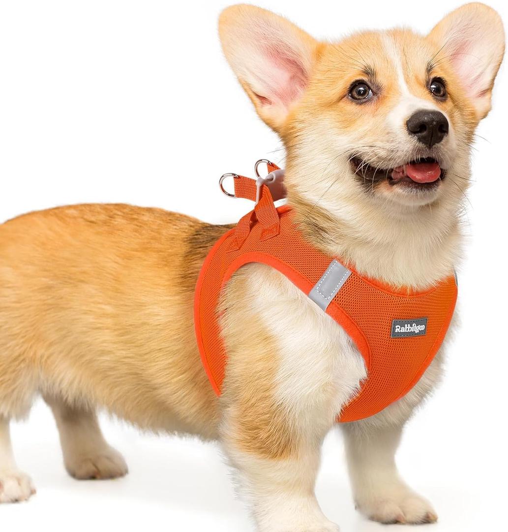 Rabbitgoo Small Dog Harness, Step-in Soft Mesh Puppy Vest with Safety Buckle, Breathable Reflective Pet Harness for Small Medium Dogs, Orange L (L(Chest:18.2"-20.5"))