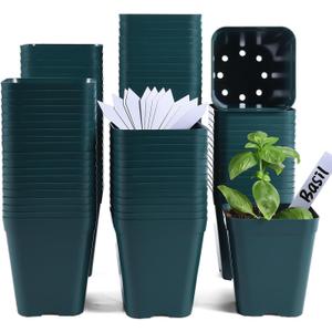 June Fox Small Seedling Pots 4 Inch, 100 Pcs Square Plant Pots Bulk, Plastic Nursery Pots with Drain Holes for Seedlings, Succulents, Cuttings (Green)