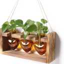 Plant Terrarium Propagation Stations Hydroponics Home Garden Decoration Gift for Women with Wooden Stand Heart Shaped Colored Glass Vase (Amber)
