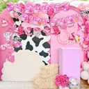 Disco Cowgirl Birthday Party Decorations, Pre-strung Happy Birthday Banners and 12 Hanging Swirls, Western Disco Theme Party Supplies for Girls, Teens, or Adults (Pink)