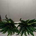 35" Ferns Artificial Bush Plants Large, 2 Artificial Boston Ferns with 39 Fronds for Outdoors Home Decor