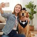 FunMular 3Pcs Formal Dog Tuxedo Accessories Set Adjustable Wedding Collar Bandana with Bow Tie Pet Top Hat for Large X-Large Dogs New Years Wedding Birthday Party