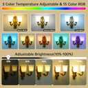 Battery Operated Wall Sconce 2-Light, RGB Dimmable Rechargeable Wall Light with Glass Shade, 48hr Battery Life Wireless Sconce with Remote Control Timer, Farmhouse Rustic Style Wall Lighting Fixture