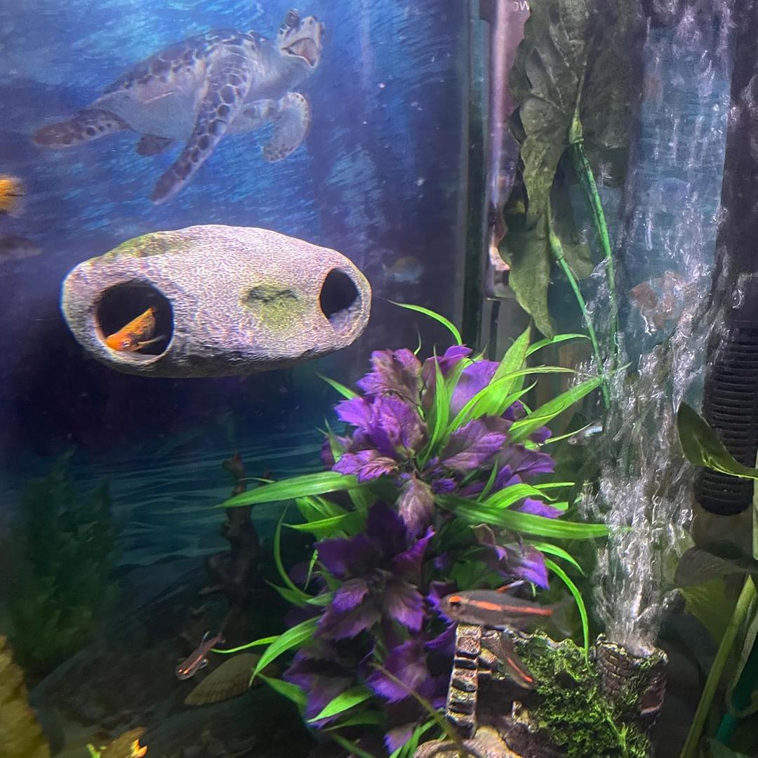 Aquarium Decor Magnetic Rock Cave Ornament Wall-Mounted Fish Tank Accessory